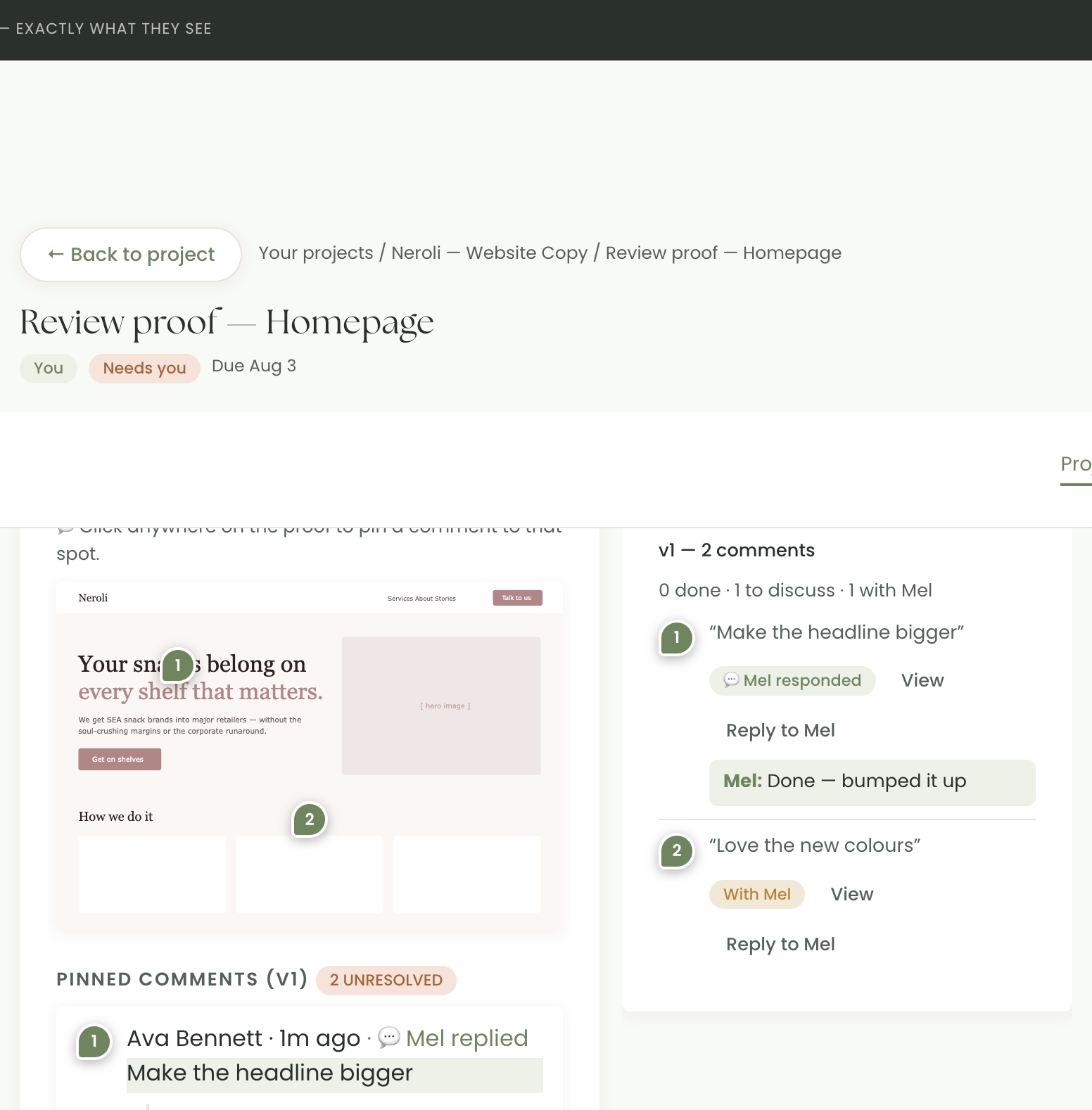 A client reviewing a proof in Chord — pinned comments on the left, a where-it-stands feedback panel on the right